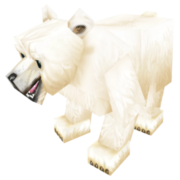 Oso Polar